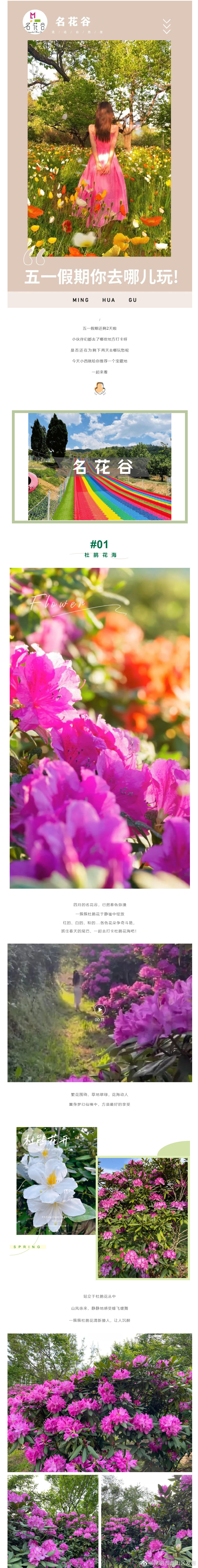 昆明市西山区发布