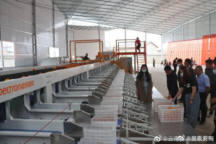 两部门：支持加快农产品供应链体系建设 进一步促进冷链物流发展