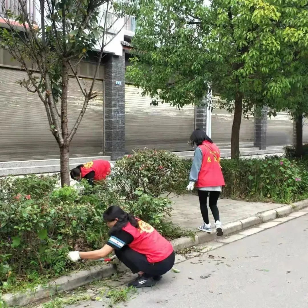 云南政法