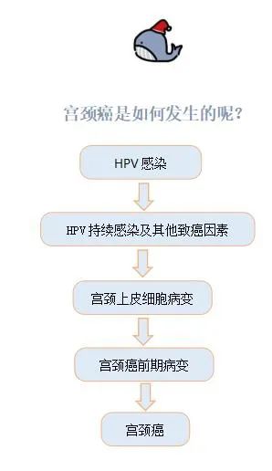 曲靖市妇幼保健院