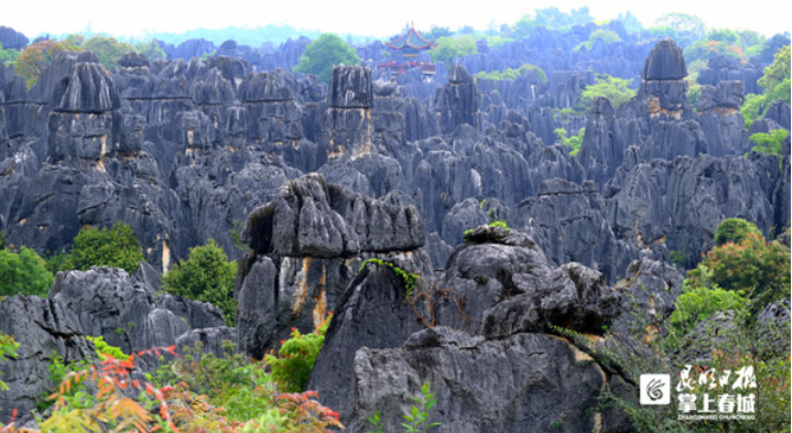 昆明信息港/cnkmxxg