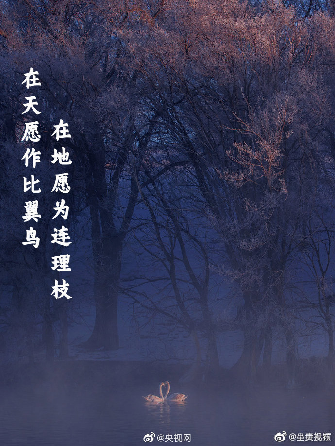 呈贡发布