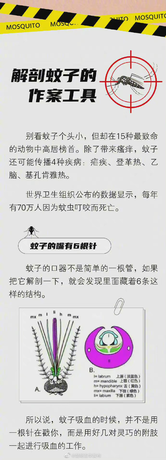 “昆明五华发布”微博