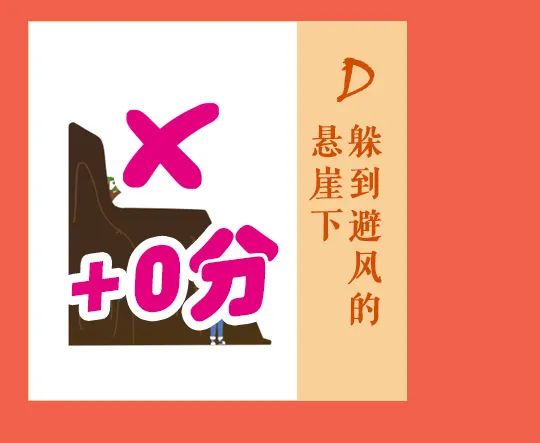 大理日报