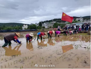 “昆明五华发布”微博