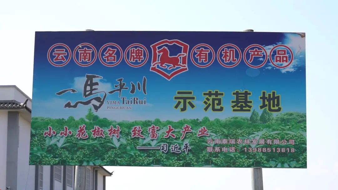大理电视台