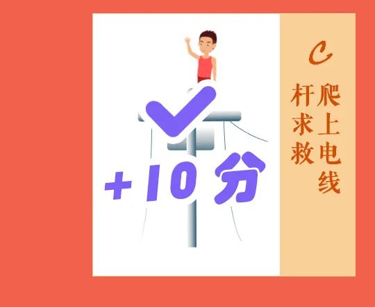 大理日报