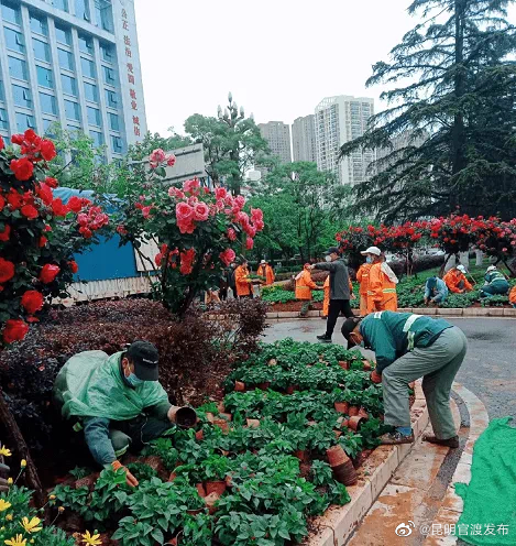 “昆明官渡发布”微博
