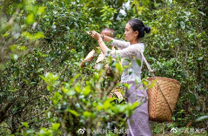 “云南发布”微博