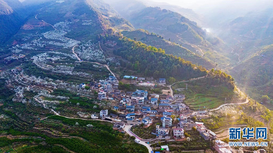 云南省文化和旅游厅