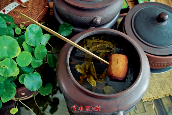 云南信息报