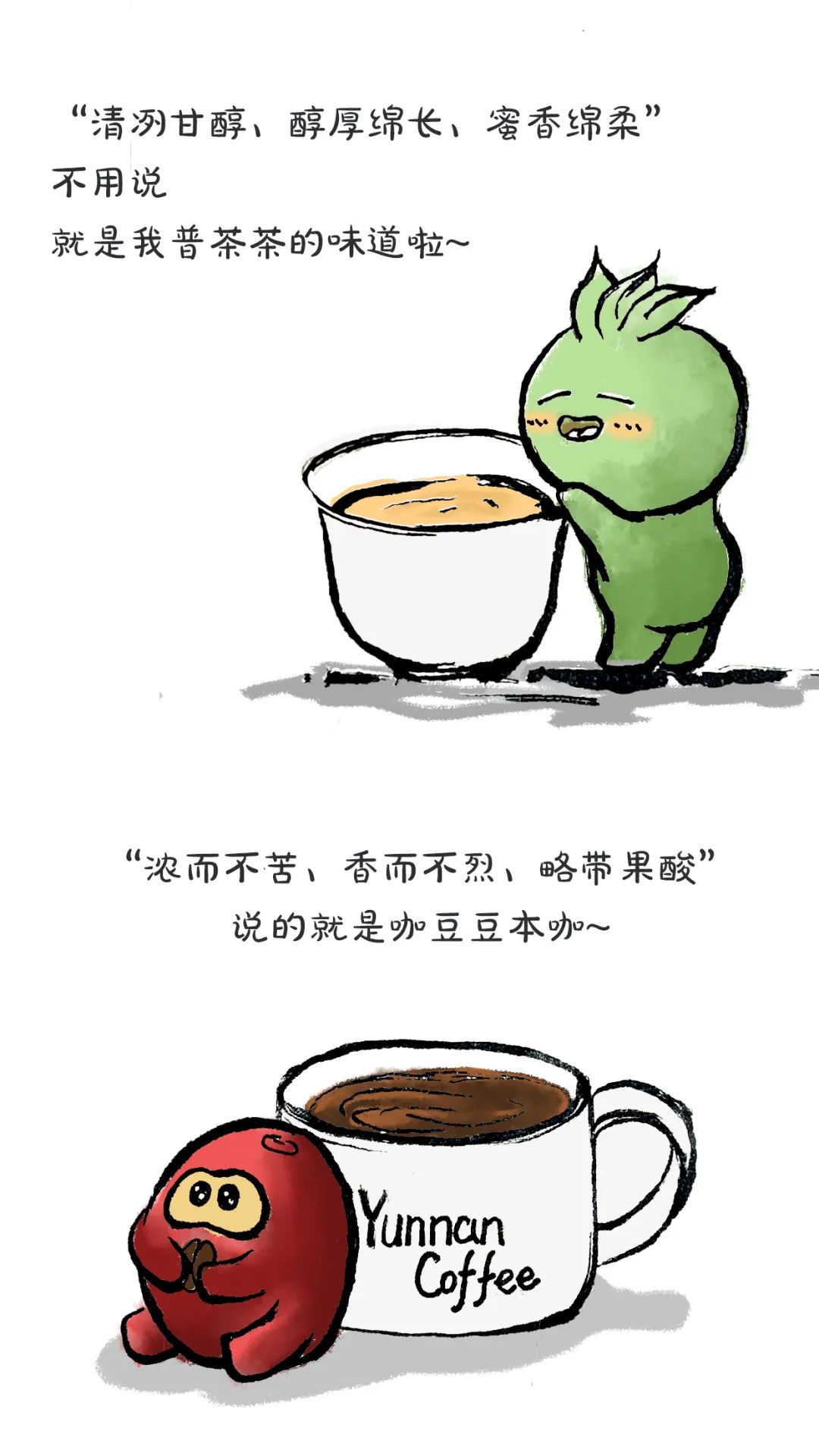 普洱日报