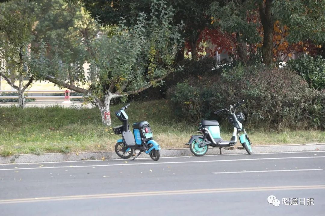 昭通日报