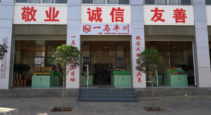 大理电视台