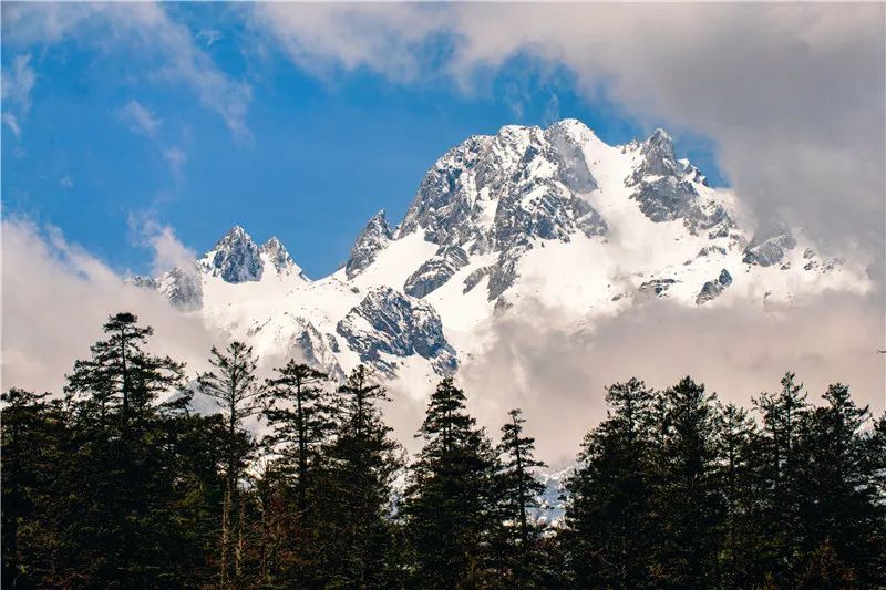 云南省文化和旅游厅