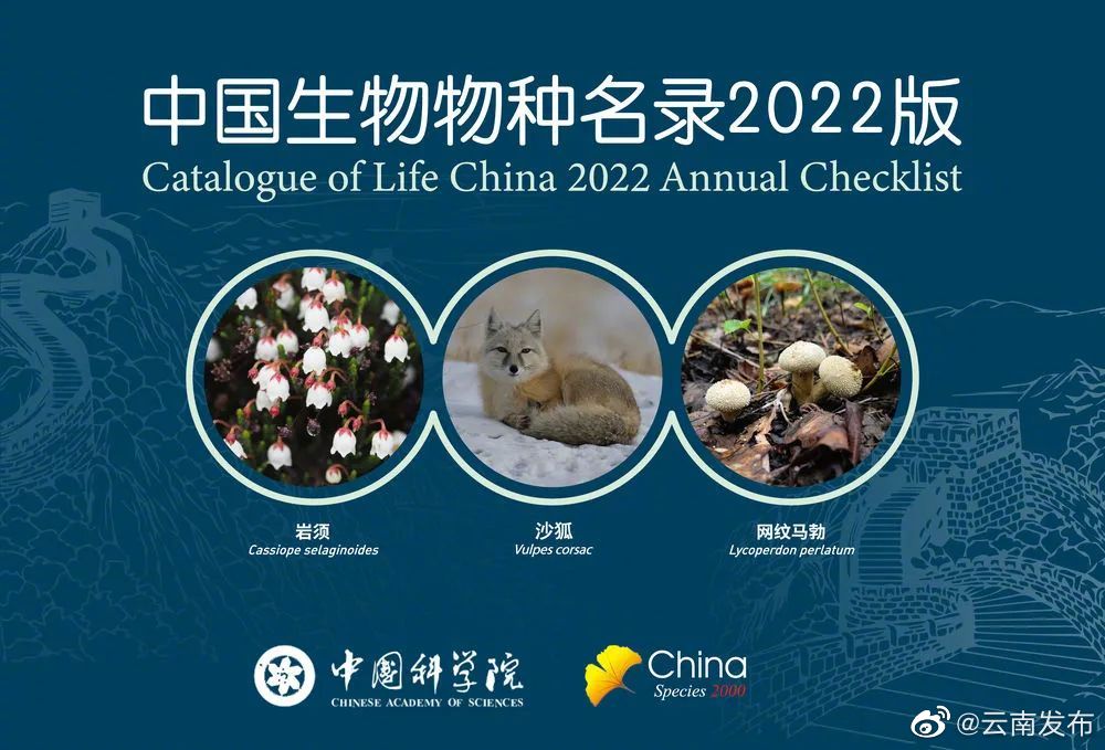 《中国生物物种名录》2022版发布 云南是新物种发现的热点地区