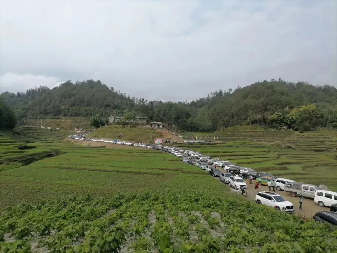 保山新闻网