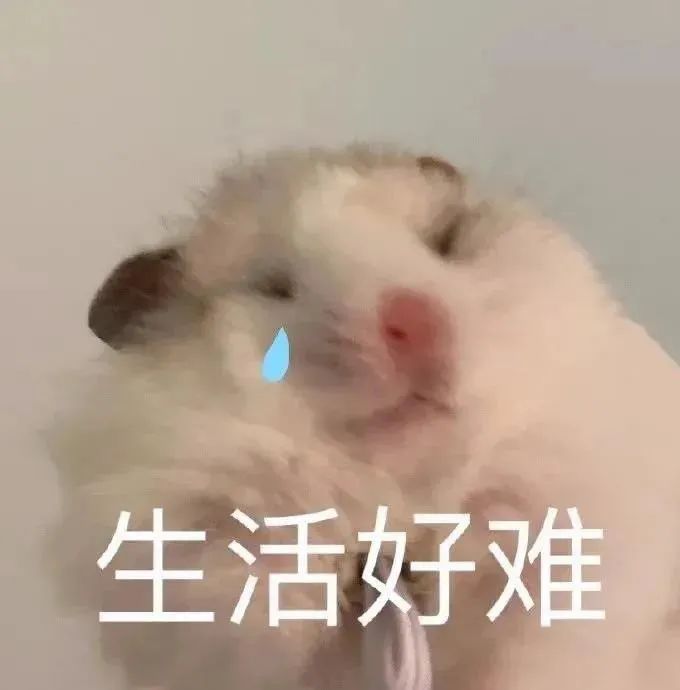 宜良检察(微信)