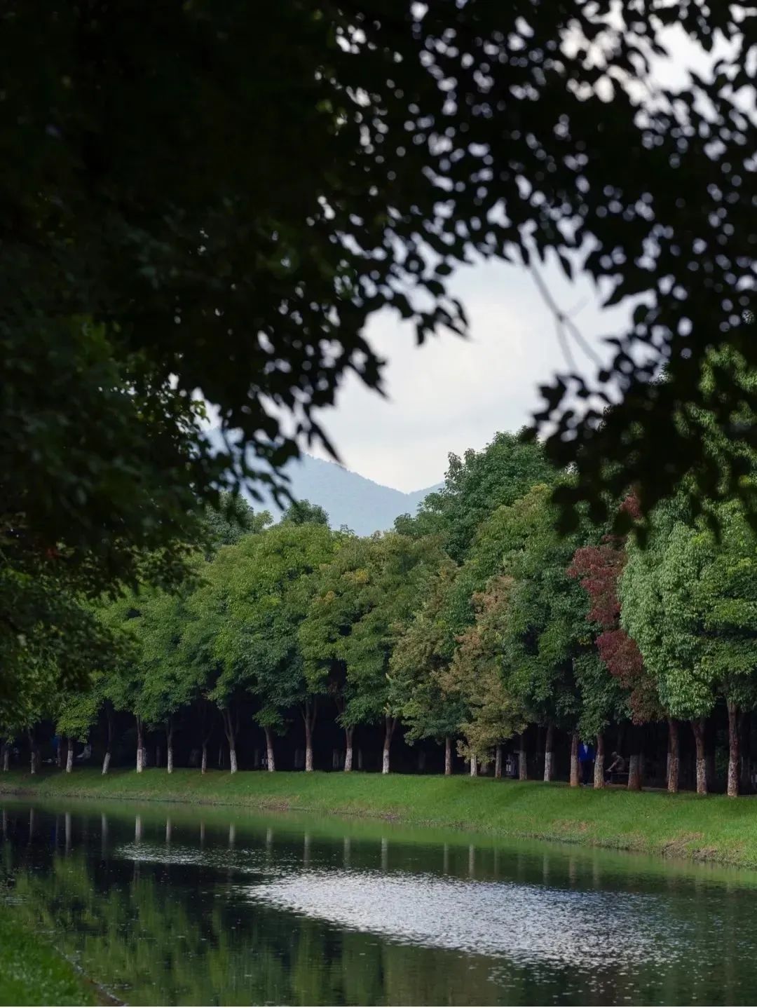 昆明滇池国家旅游度假区管理委员会(微信)