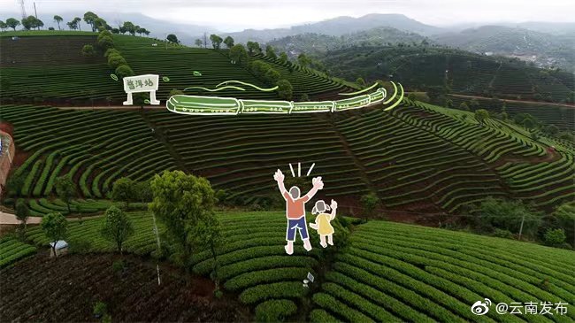 “云南发布”微博