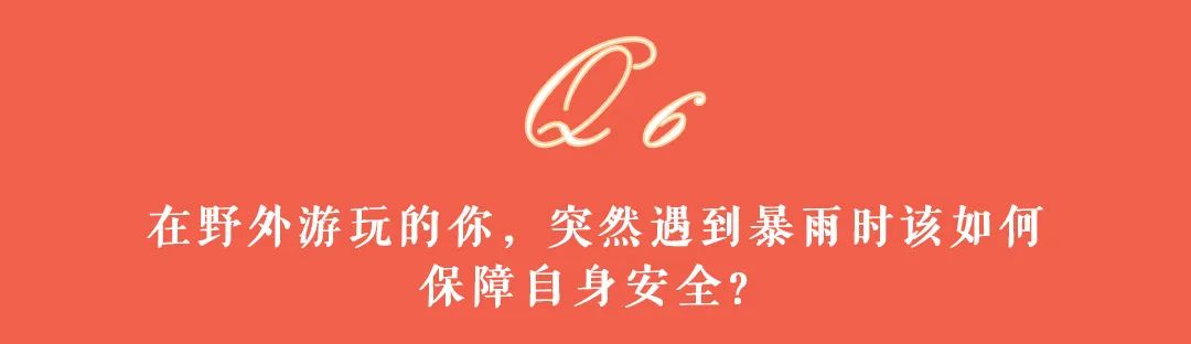 大理日报