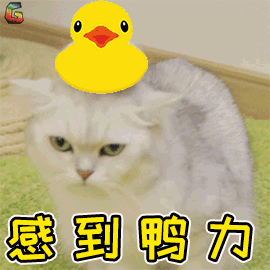 美丽云南微科普