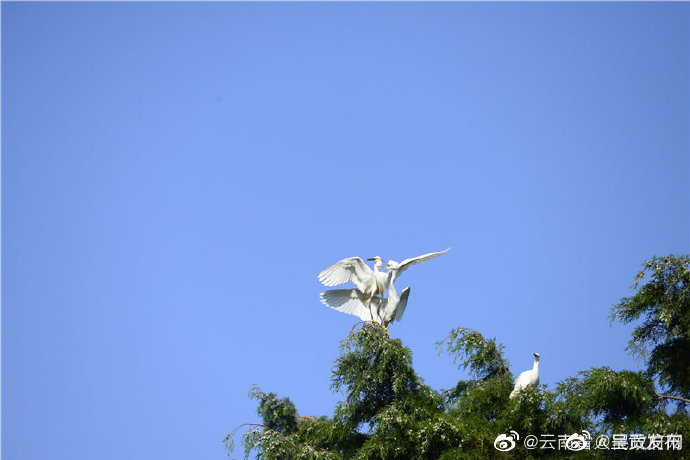 呈贡发布