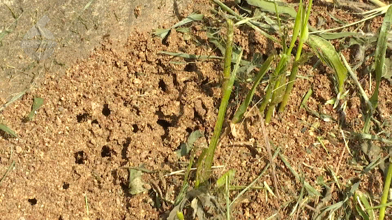 昆明信息港/cnkmxxg