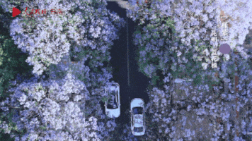 云南省文化和旅游厅