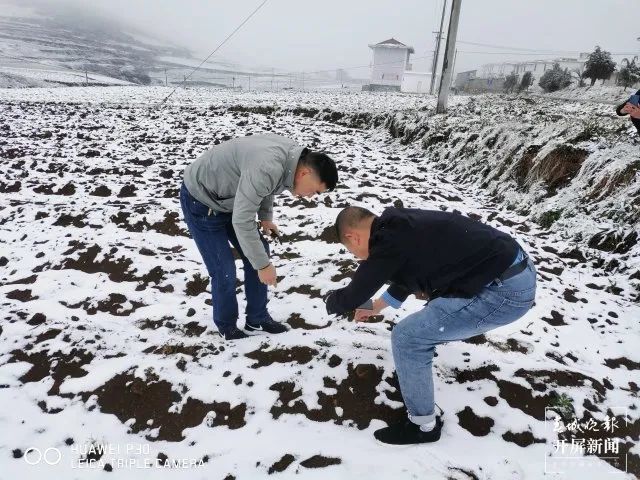 春城晚报