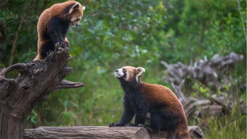 云南省文化和旅游厅
