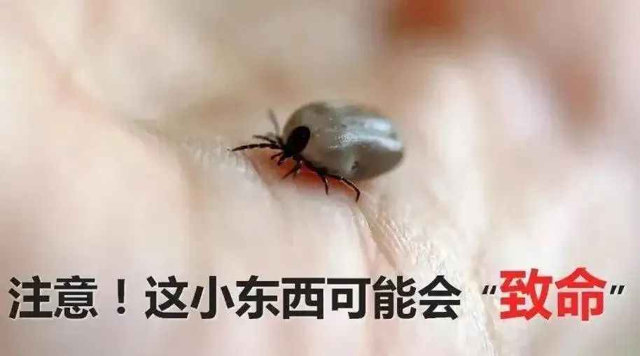 云南省中医医院
