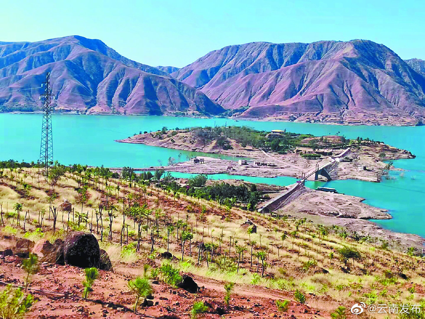 楚雄：金沙江生态修复换挡提速