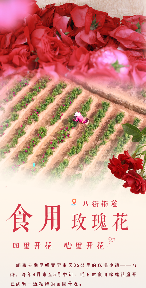 昆明发布