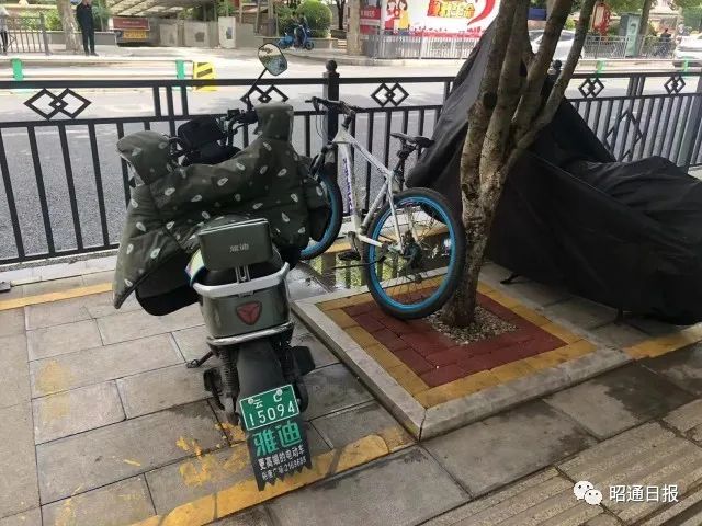 昭通日报