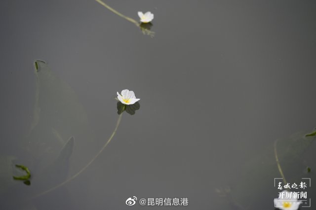 昆明信息港