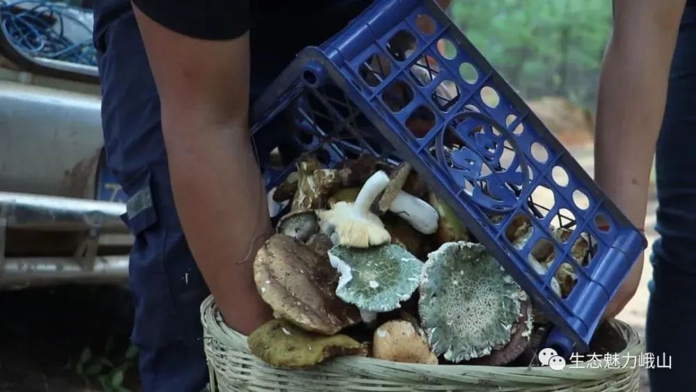 玉溪发布