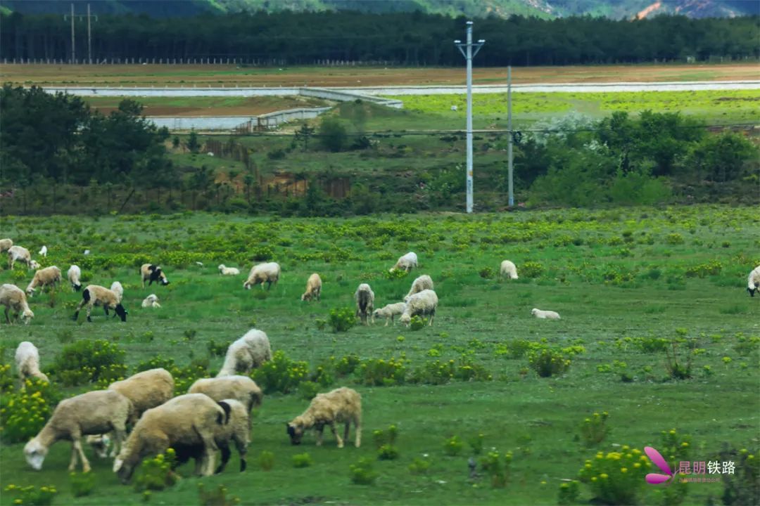 昆明铁路