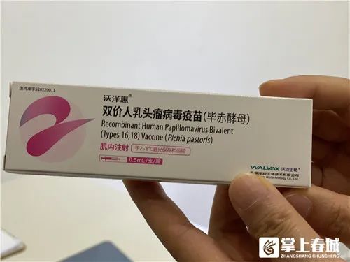 掌上春城
