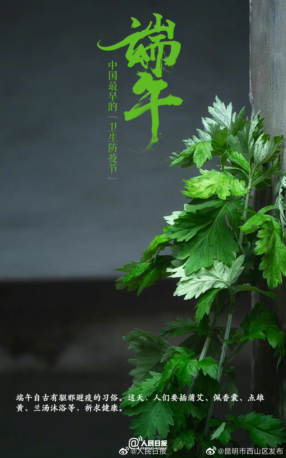 昆明市西山区发布