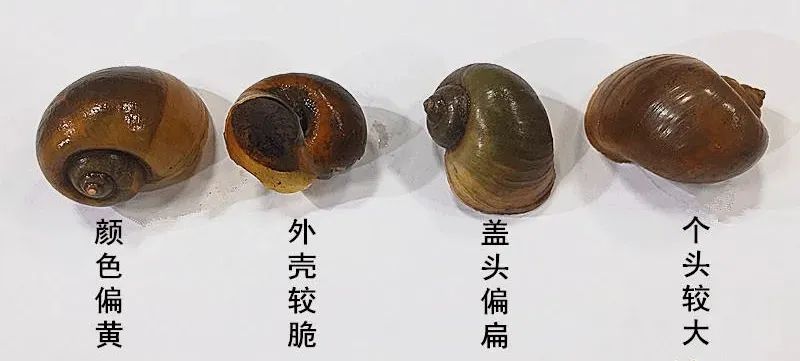 云南疾控