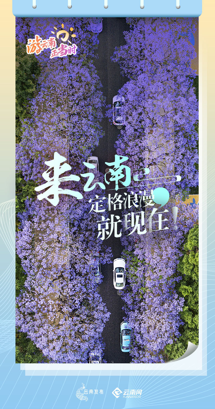 云南省文化和旅游厅