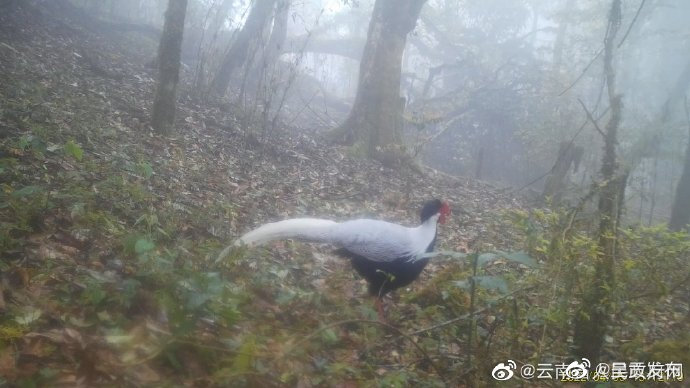 呈贡发布