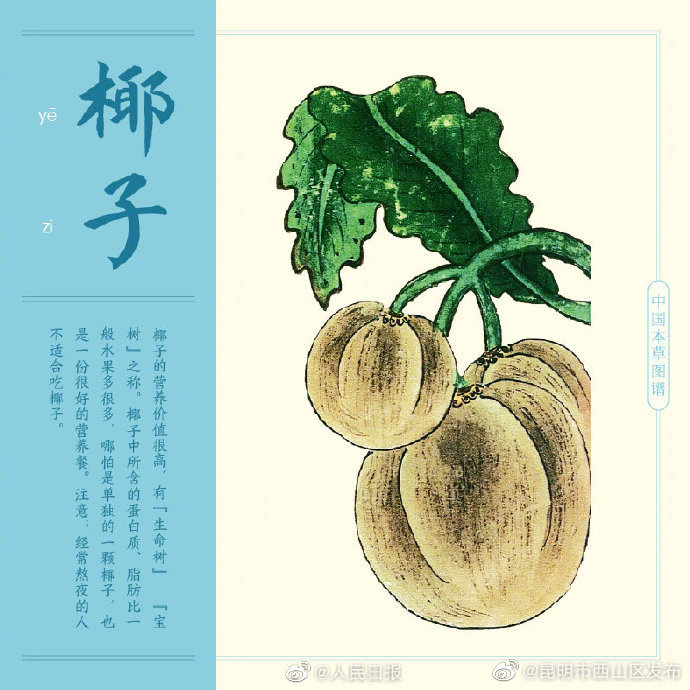 昆明市西山区发布