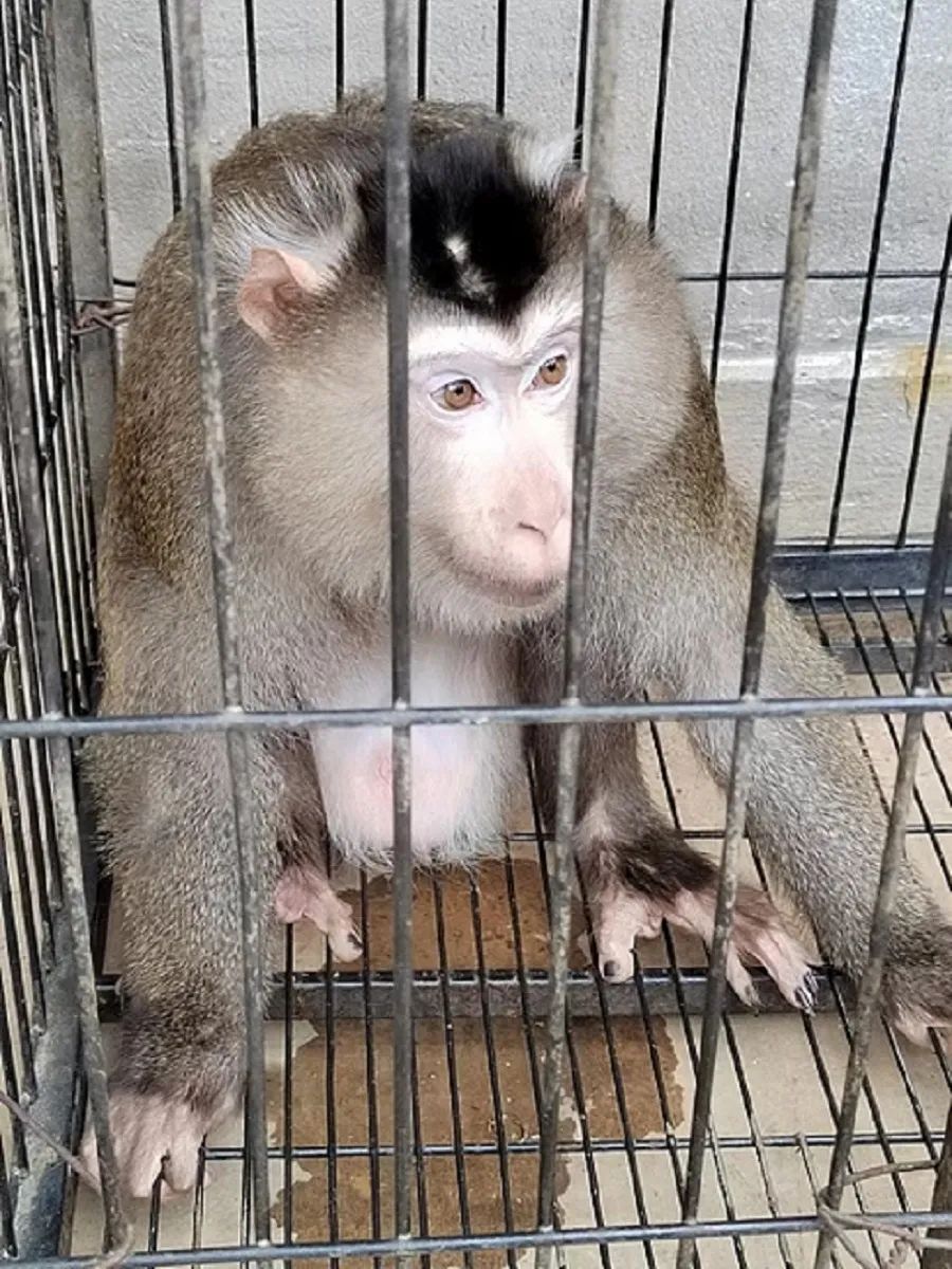 爱上富民
