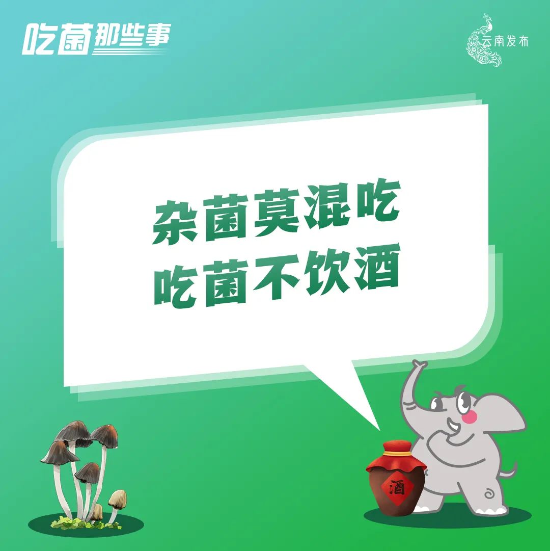 云南法制报