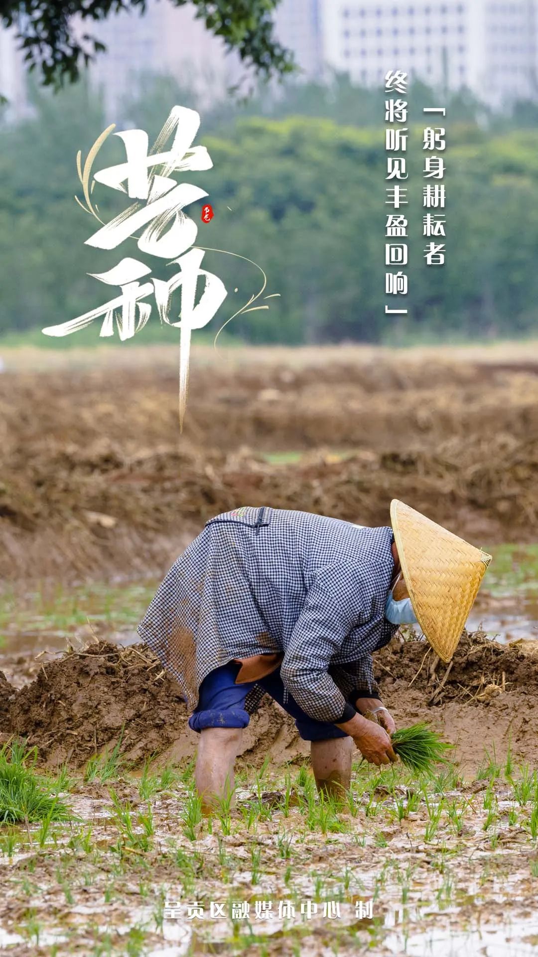 呈贡发布