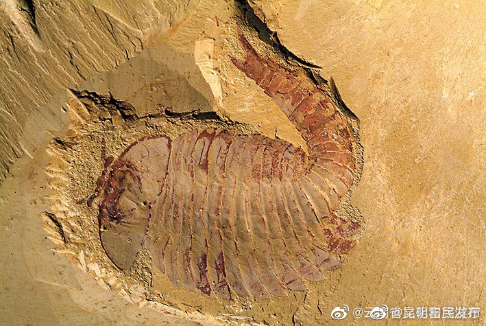 “昆明富民发布”微博