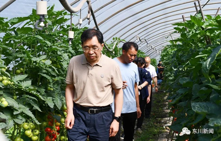 东川新闻