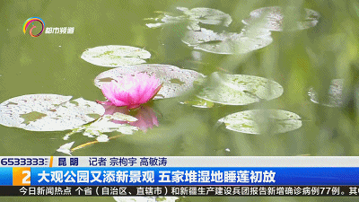 昆明文旅